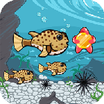 Run Fish Run